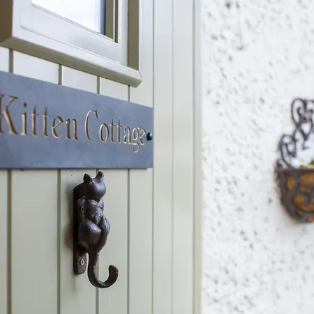Kitten West Witton
