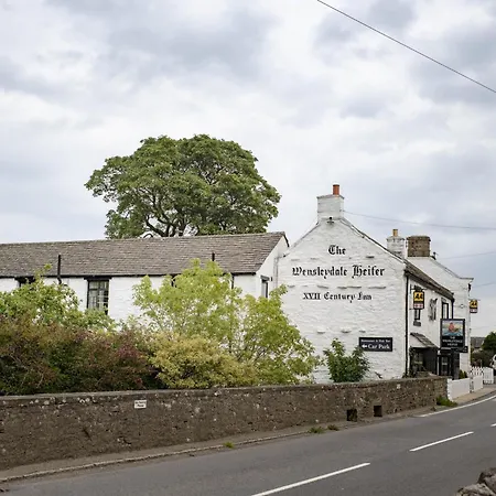 Kitten * West Witton